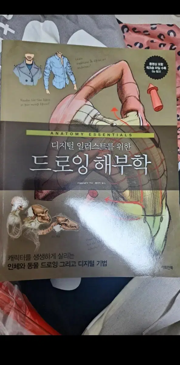 드로잉 해부학